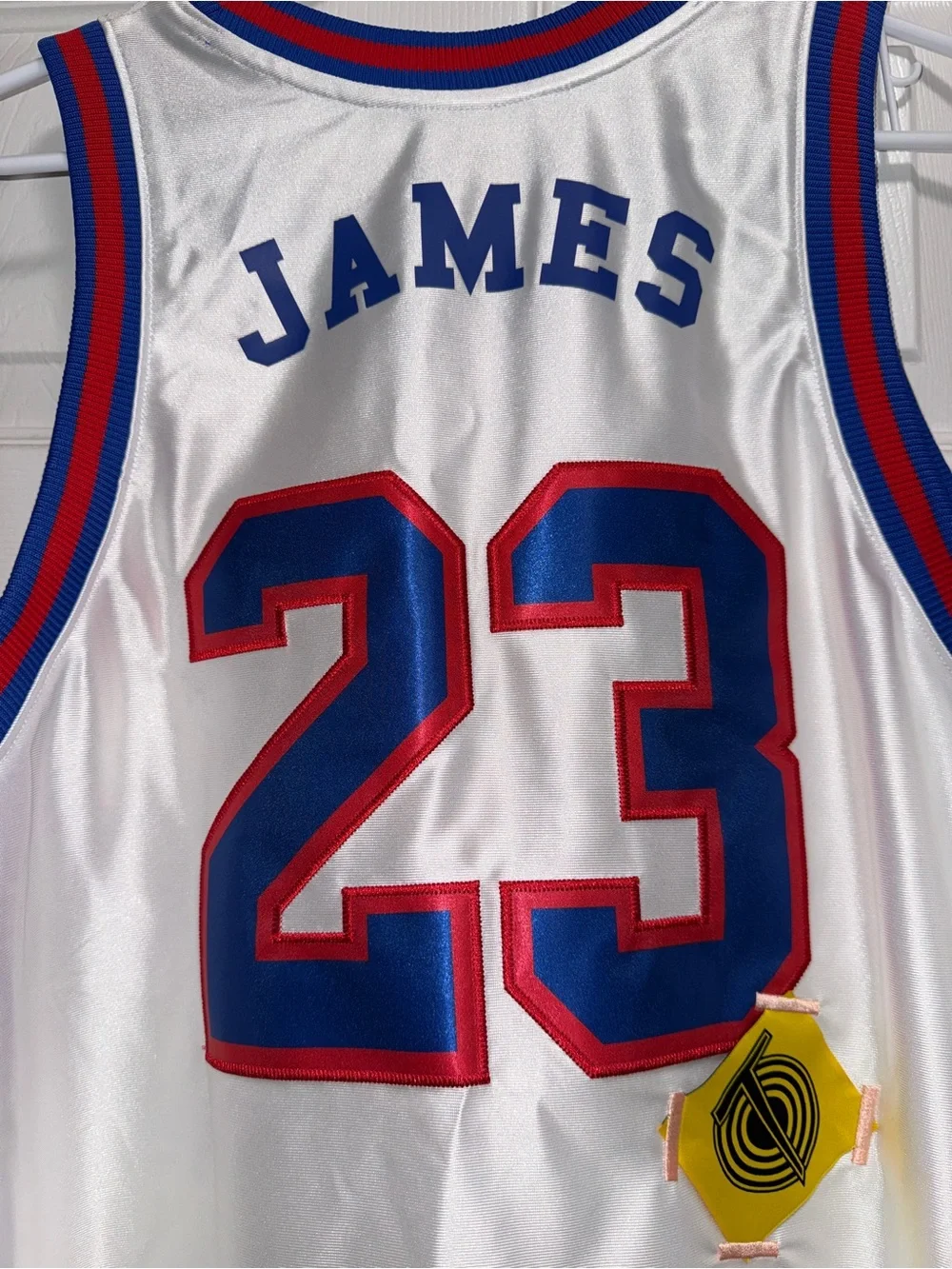 Nike LeBron x Tunesquad Basketball Jersey with Blue & Red Trim
